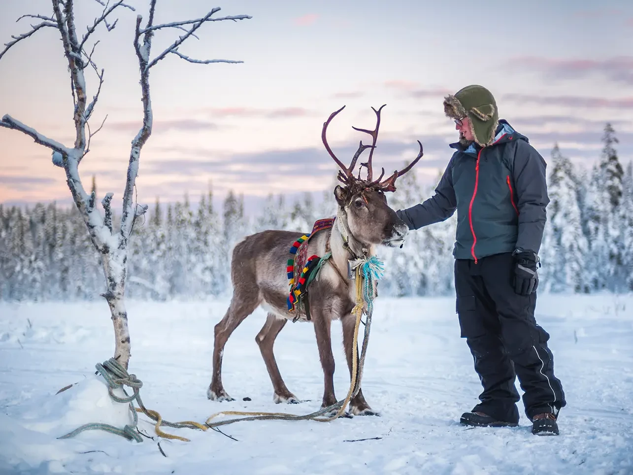 Lapland MICE groups